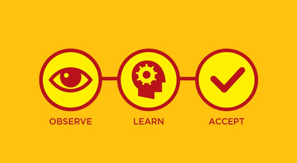 Observe and learn and accept