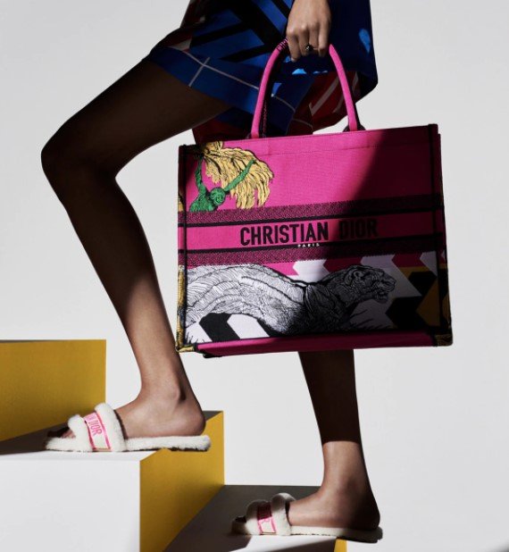 dior bag