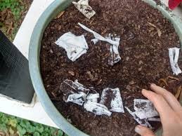 Compost Old Cotton T-Shirts