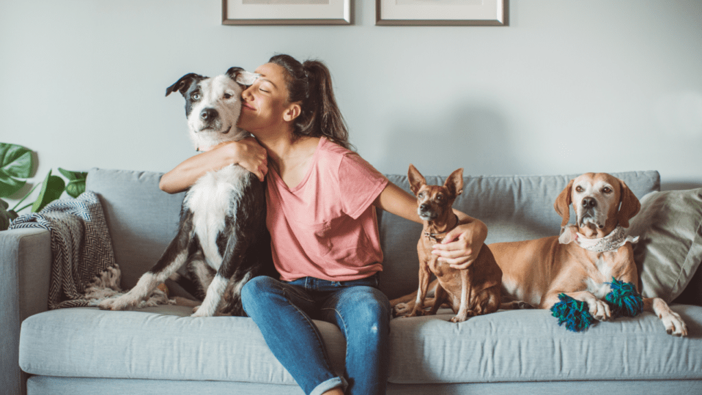 Creating a Safe Space for Your Pet